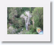 Canyon de Jerez * (17 Diapositives)