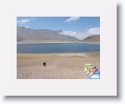 Lagunes altiplaniques * (70 Diapositives)